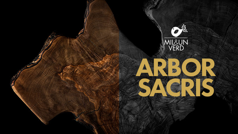 Arbor Sacris