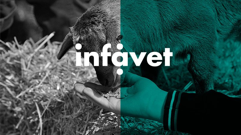 Infavet